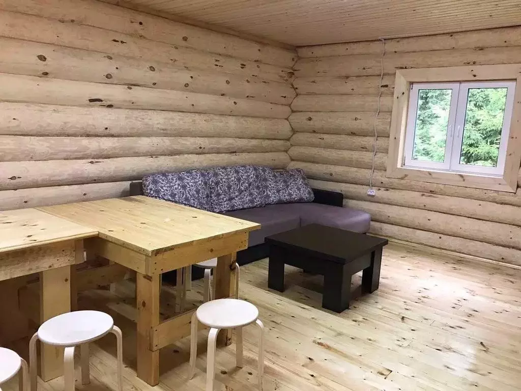 Дом в Нижегородская область, Богородский муниципальный округ  (300 м) - Фото 1