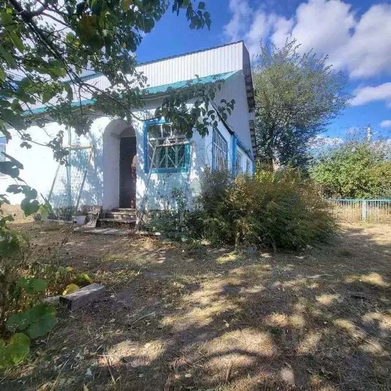 Дом в Воронежская область, Петропавловский район, Красноселовское ... - Фото 1