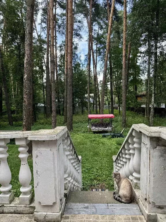 Продается дом в дп Удельная - Фото 2