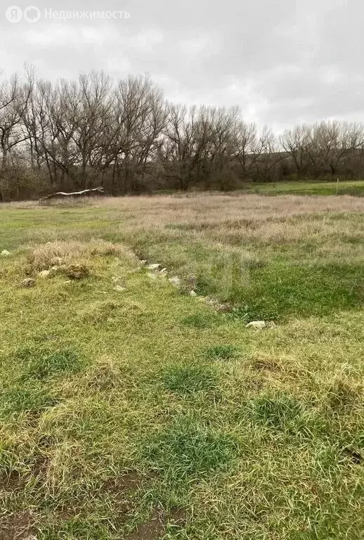 Участок в Белогорский район, Цветочненское сельское поселение, село ... - Фото 1