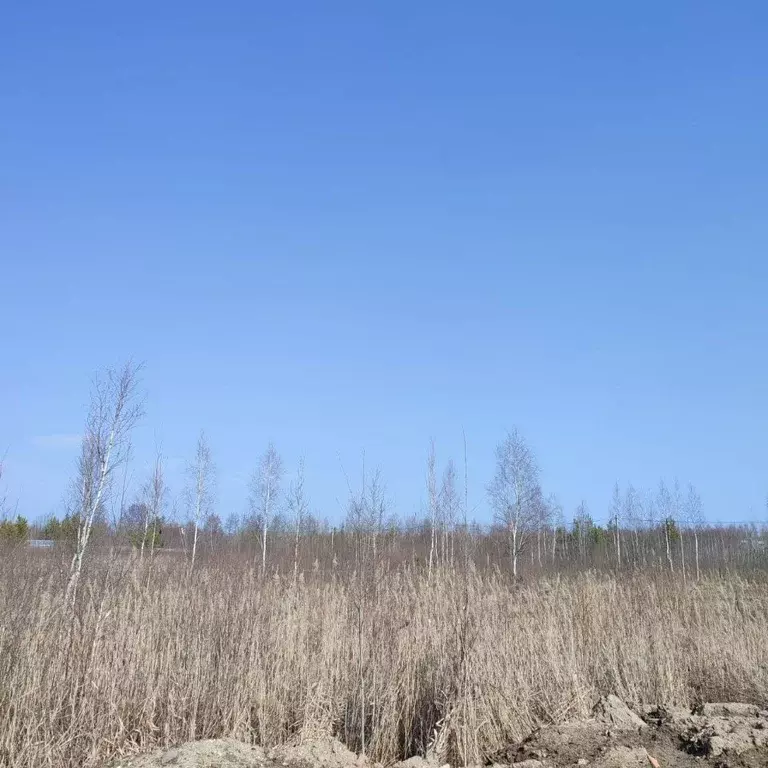 Участок в Московская область, Электрогорск Павлово-Посадский городской ... - Фото 0