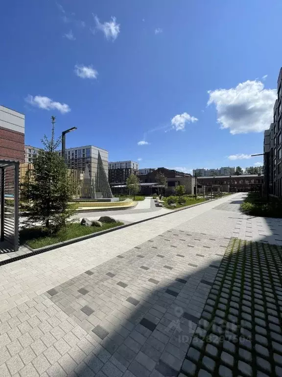 Студия Санкт-Петербург просп. Обуховской обороны, 36 (27.92 м) - Фото 2