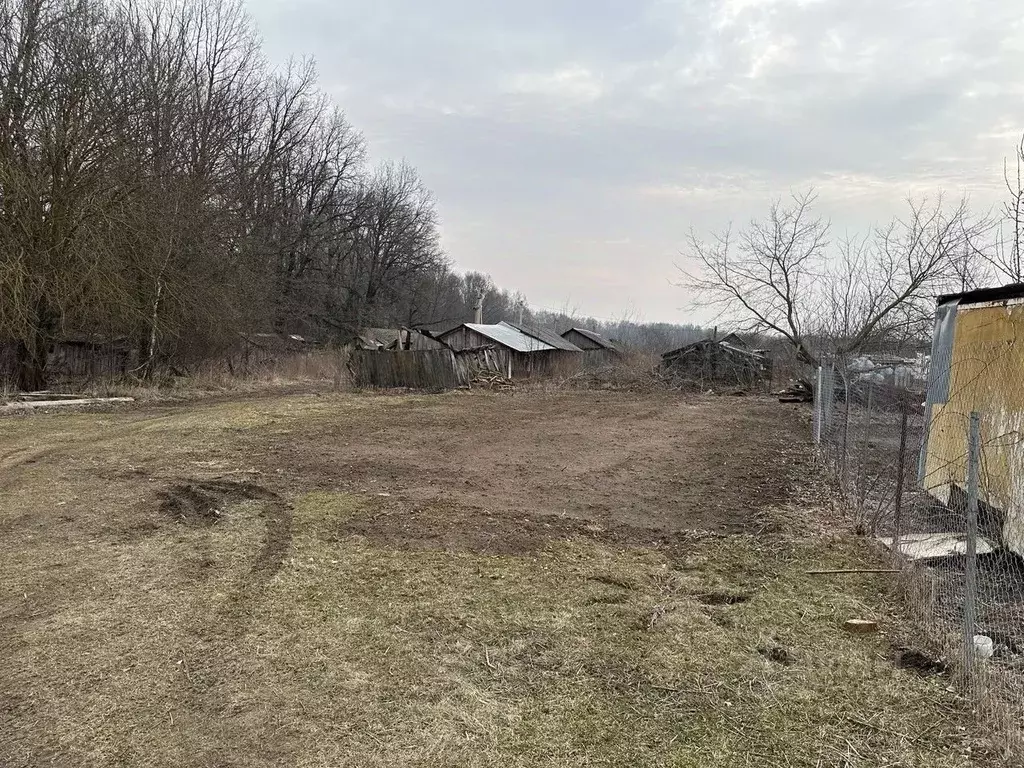 Участок в Московская область, Серебряные Пруды муниципальный округ, ... - Фото 1