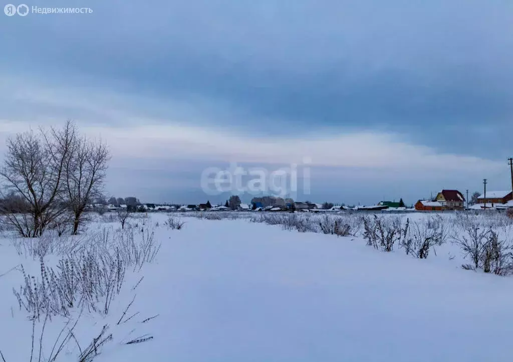 Участок в Тюменская область, Ялуторовский муниципальный округ, село ... - Фото 2