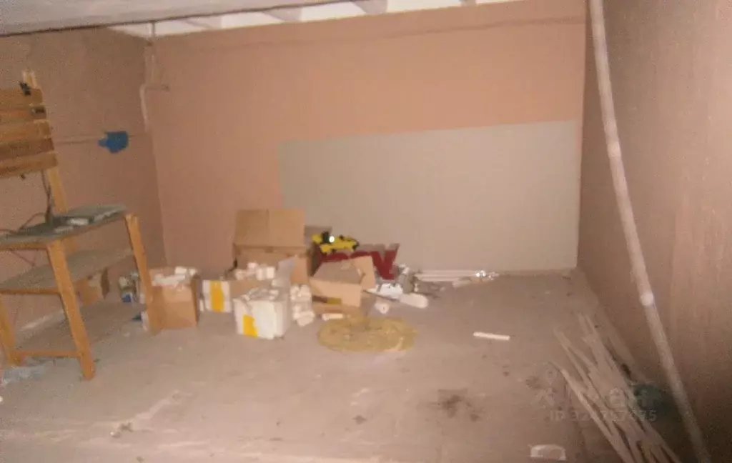 Помещение свободного назначения в Новосибирская область, Новосибирск ... - Фото 1