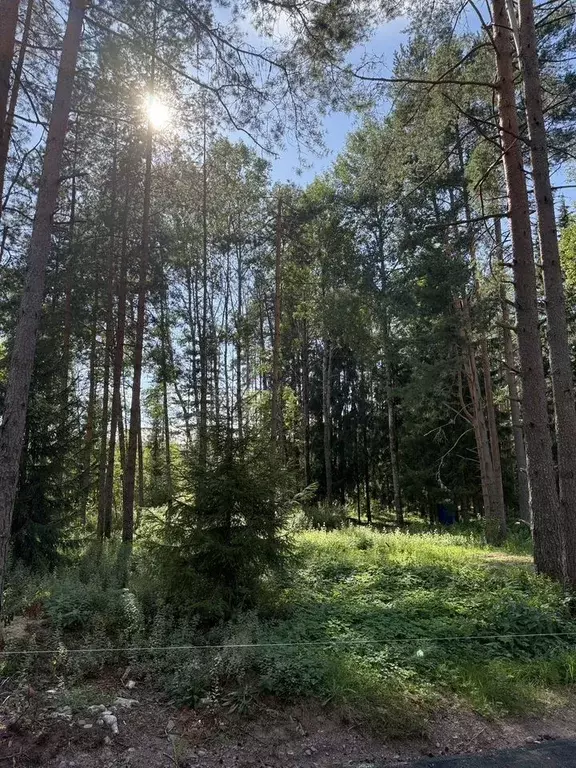 Участок в Санкт-Петербург пос. Репино, Луговая ул. (13.0 сот.) - Фото 1