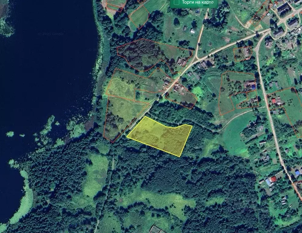 Участок в Псковская область, Себежский район, Сосновый Бор городское ... - Фото 2