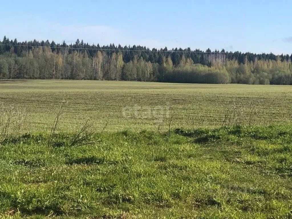 Участок в Вологодская область, Левонино садоводческое товарищество  ... - Фото 2