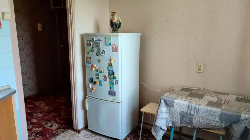 2-к кв. Курганская область, Курган Комсомольская ул., 87 (50.0 м) - Фото 2