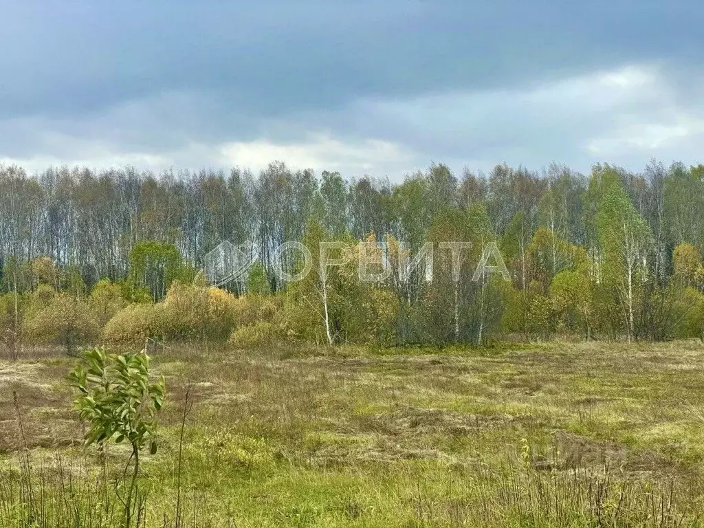 Участок в Тюменская область, Нижнетавдинский муниципальный округ, пос. ... - Фото 0