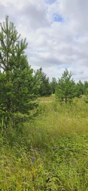 Участок в Челябинская область, Аргаяшский муниципальный округ, д. ... - Фото 1