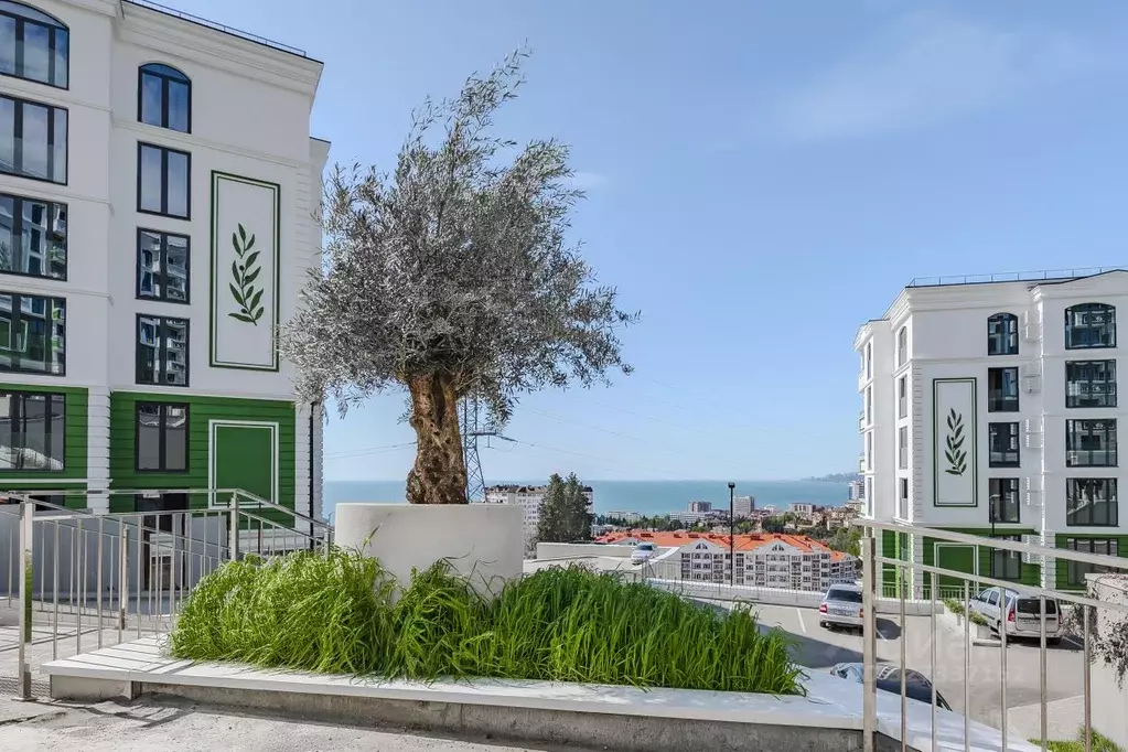 Студия Краснодарский край, Сочи ул. Ленина, 290/8к6 (26.0 м) - Фото 1