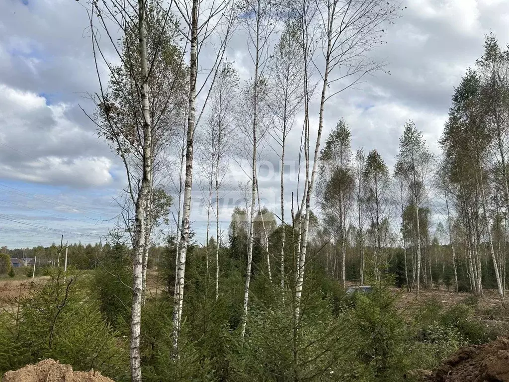 Участок в Калужская область, Совхоз Боровский с/пос, Волконское кп  ... - Фото 2