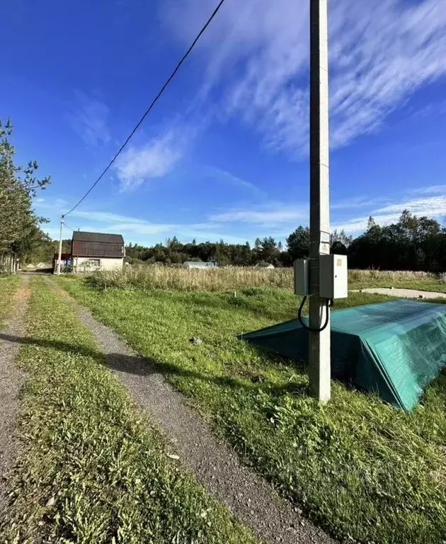 Участок в Новгородская область, Новгородский район, Трубичинское ... - Фото 1