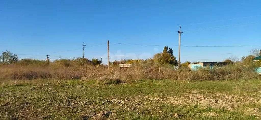 Участок в Крым, Кировский район, Синицынское с/пос, с. Васильковое ул. ... - Фото 1