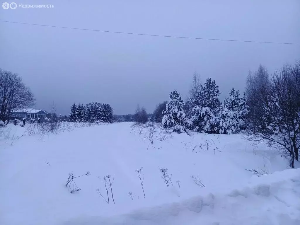 Участок в Московская область, муниципальный округ Егорьевск, деревня ... - Фото 1