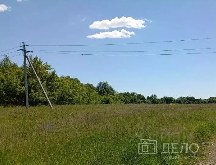 Участок в Рязанская область, Рыбновский муниципальный округ, пос. ... - Фото 1