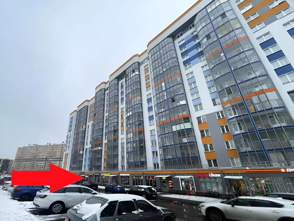 Помещение свободного назначения в Ленинградская область, Мурино ... - Фото 1