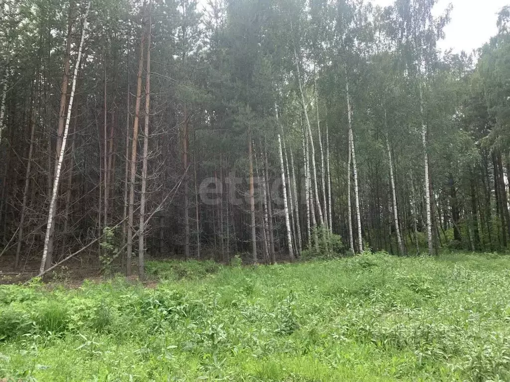 Участок в Нижегородская область, Сокольский муниципальный округ, д. ... - Фото 2