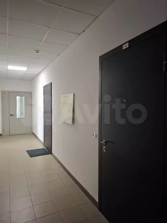 Квартира-студия, 27 м, 19/24 эт. - Фото 1