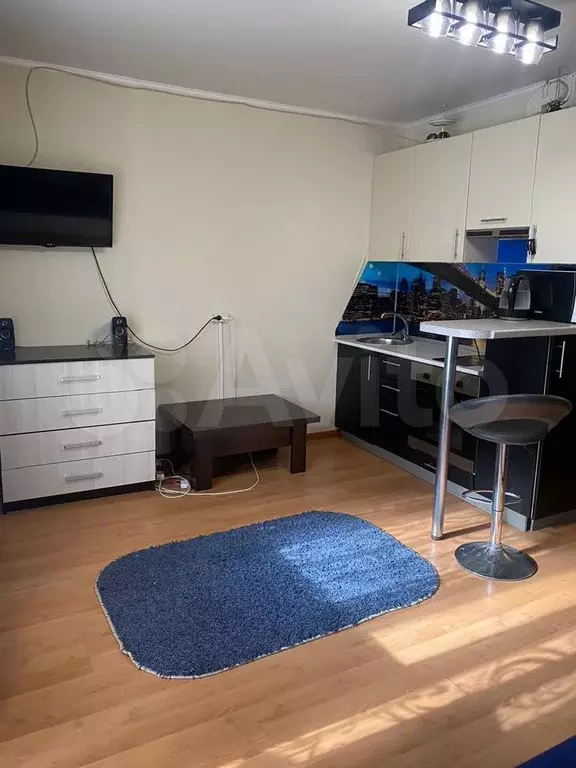 Квартира-студия, 24,1 м, 4/10 эт. - Фото 1