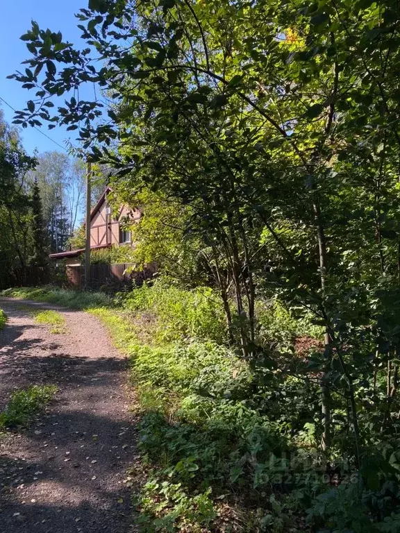 Участок в Московская область, Дмитровский муниципальный округ, ... - Фото 0