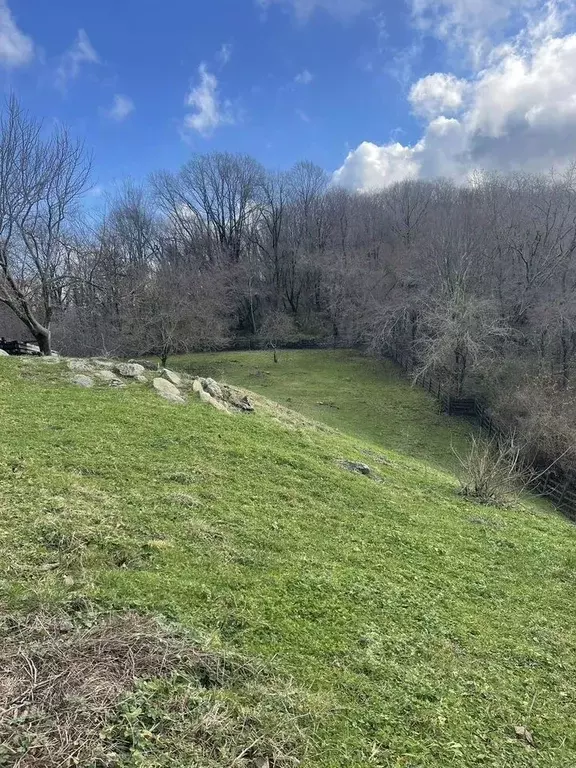 Участок в Краснодарский край, Сочи городской округ, с. Горное Лоо  ... - Фото 2