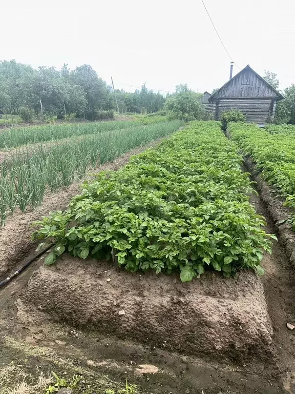 Дом 53 м на участке 27 сот. - Фото 1