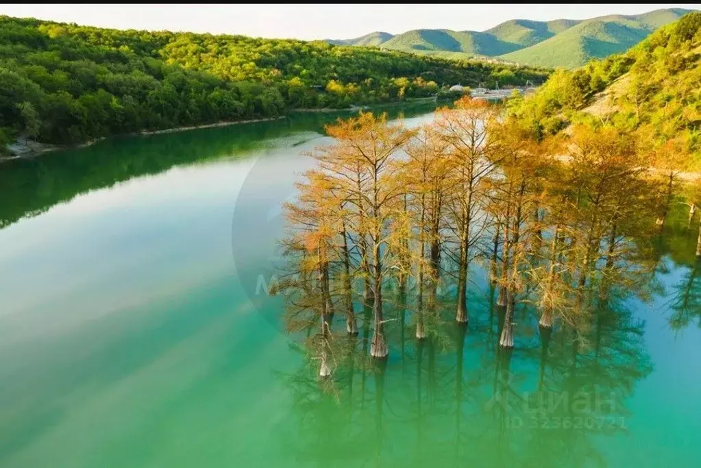 Участок в Краснодарский край, Анапа муниципальный округ, с. Сукко, ... - Фото 1