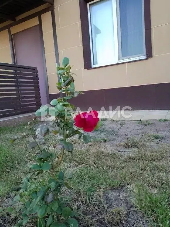 Дом в Крым, Щелкино Ленинский район, 1-й мкр, 17 (61 м) - Фото 1