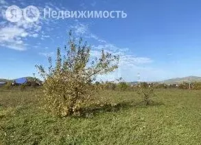 Участок в Майминский район, село Подгорное (6.22 м) - Фото 2