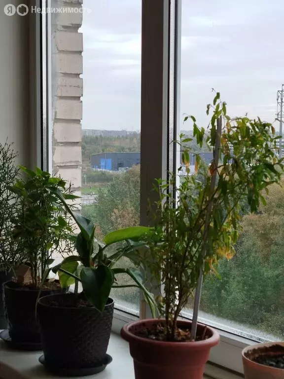 1к в 7-комнатной квартире (17.2 м) - Фото 1