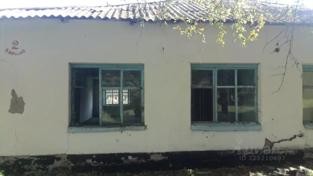 Помещение свободного назначения в Алтайский край, Советский район, с. ... - Фото 1