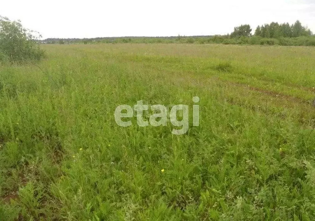 Участок в Архангельская область, Котласский муниципальный округ, д. ... - Фото 1