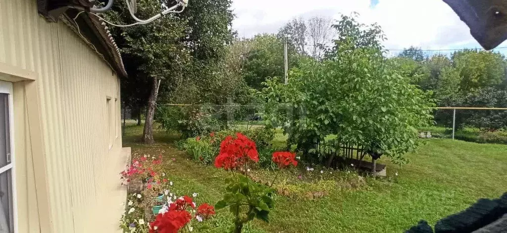 Дом в Белгородская область, Губкинский городской округ, Роскошный хут. ... - Фото 1
