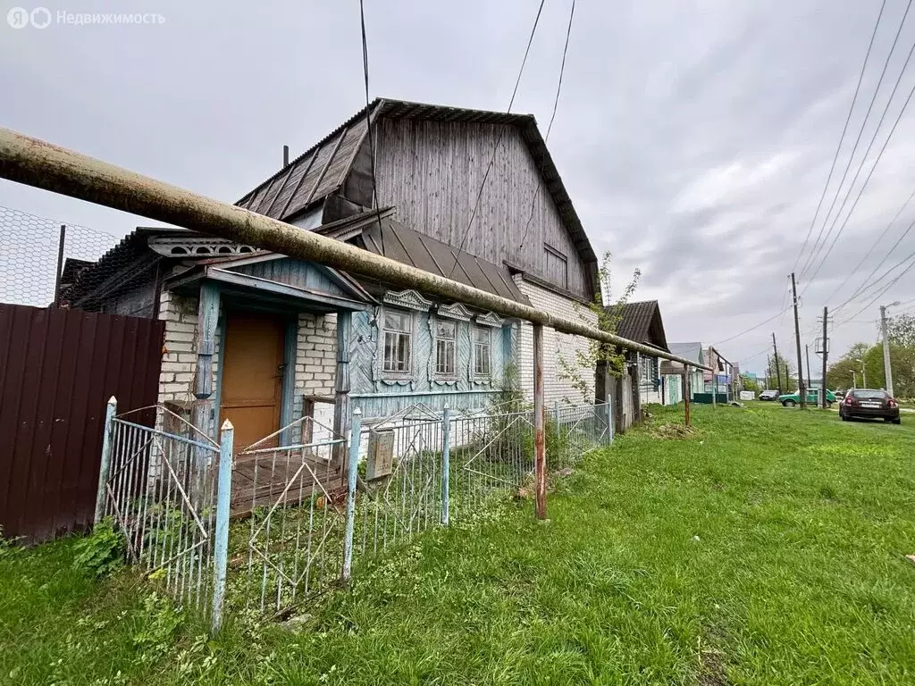 Дом в Нижегородская область, городской округ Выкса, деревня Змейка, ... - Фото 1
