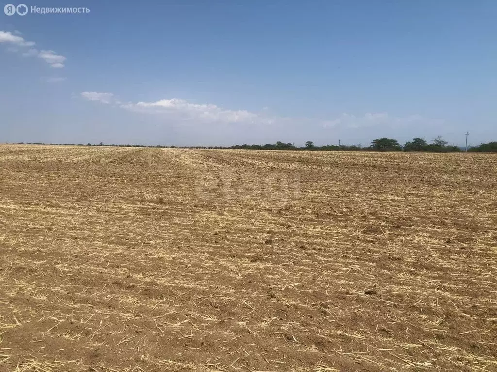 Участок в Черноморский район, село Окунёвка (100.19 м) - Фото 1