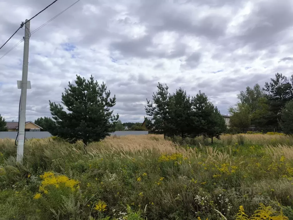 Участок в Московская область, Раменский муниципальный округ, д. Жирово ... - Фото 1