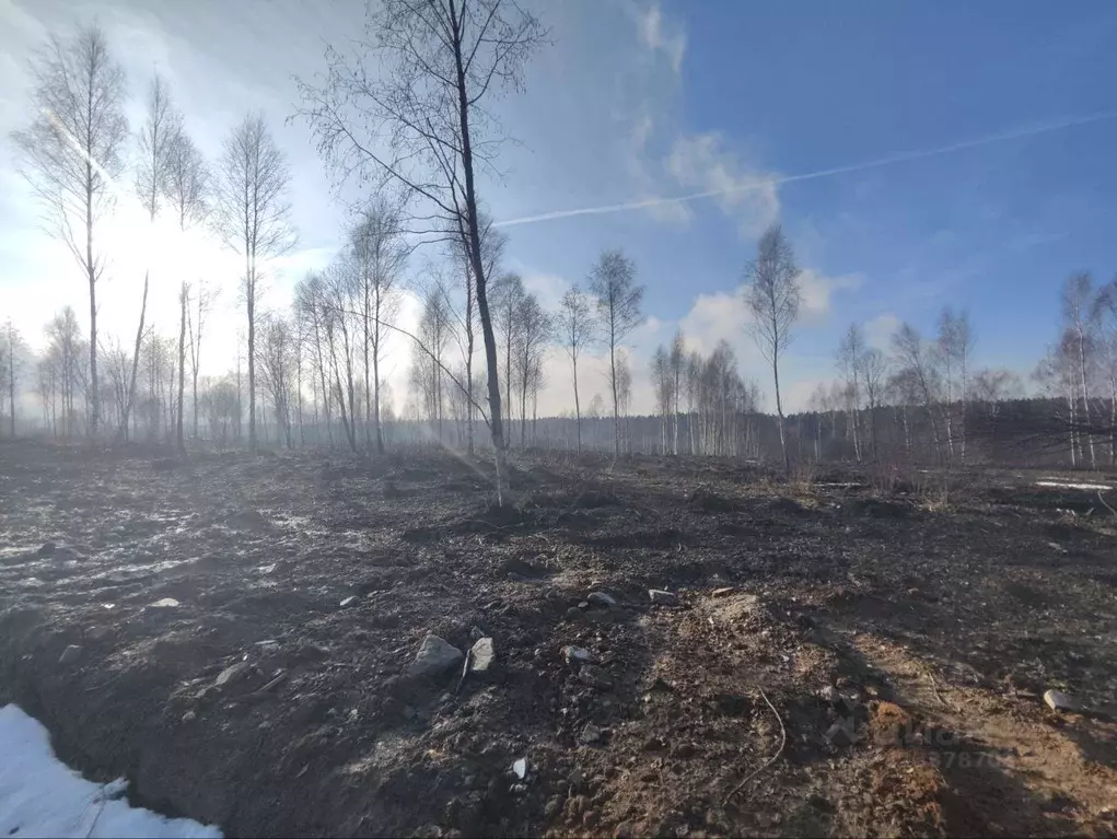 Участок в Московская область, Клин городской округ, д. Покровка ул. ... - Фото 1