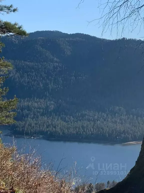 Участок в Алтай, Турочакский район, с. Артыбаш  (10.0 сот.) - Фото 1