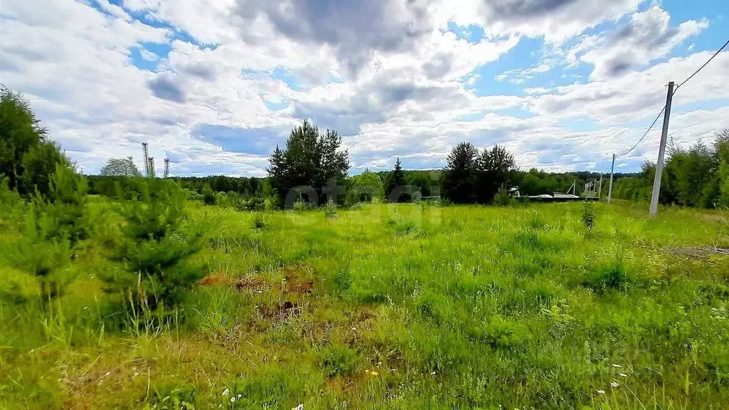 Участок в Кировская область, Кирово-Чепецкий район, Пасеговское с/пос, ... - Фото 2