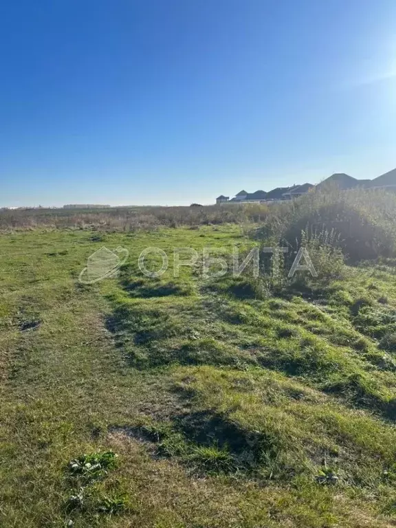 Участок в Тюменская область, Тюменский муниципальный округ, с. Ембаево ... - Фото 1