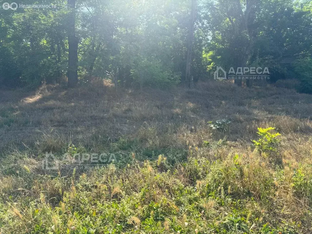 Участок в село Александровка, Октябрьская улица, 67 (42 м) - Фото 2