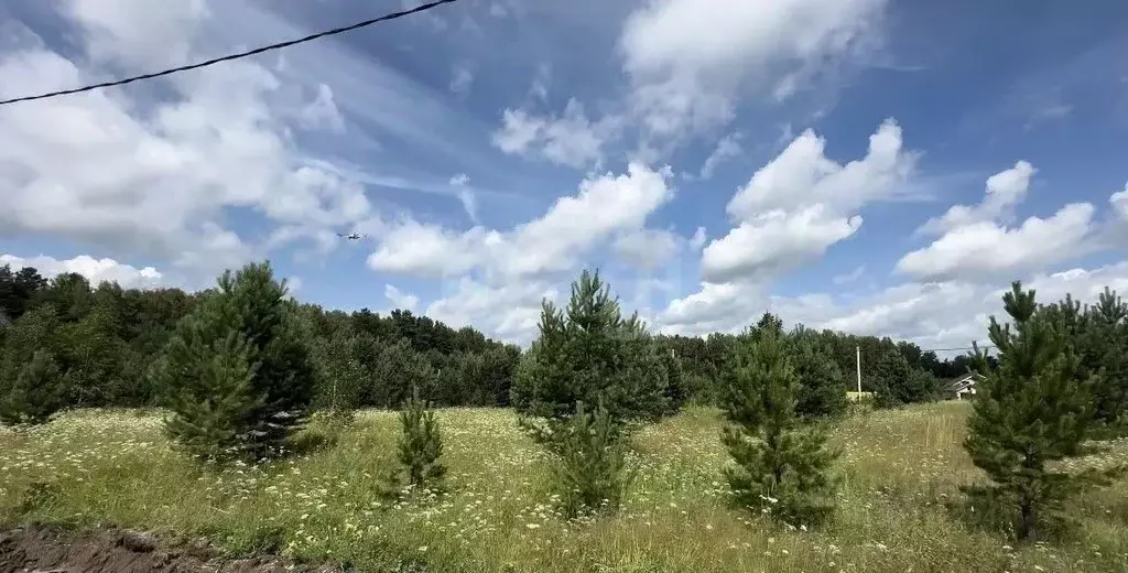 Участок в Новосибирская область, Новосибирский район, Кубовинский ... - Фото 2