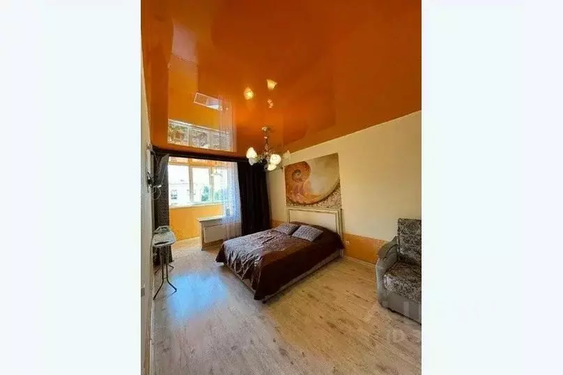 1-к кв. Воронежская область, Воронеж просп. Революции, 9а (28.0 м) - Фото 2