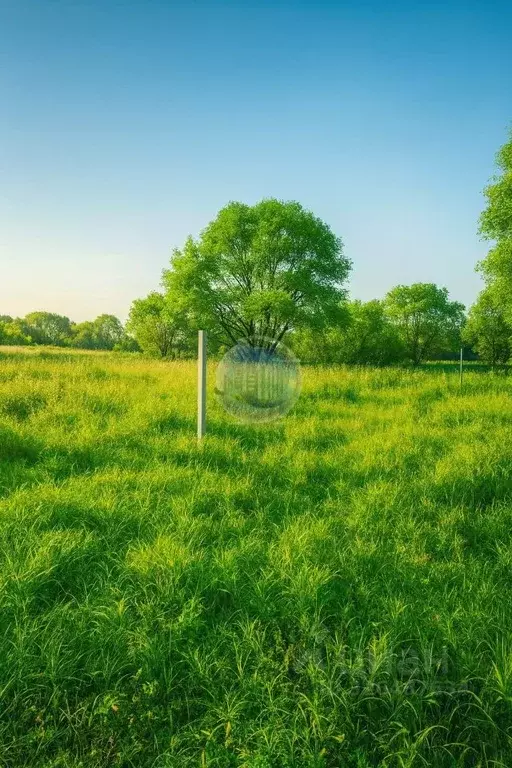 Участок в Московская область, Ленинский городской округ, д. Дроздово  ... - Фото 1