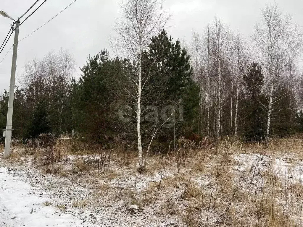 Участок в Московская область, Ступино городской округ, д. Кравцово ул. ... - Фото 1