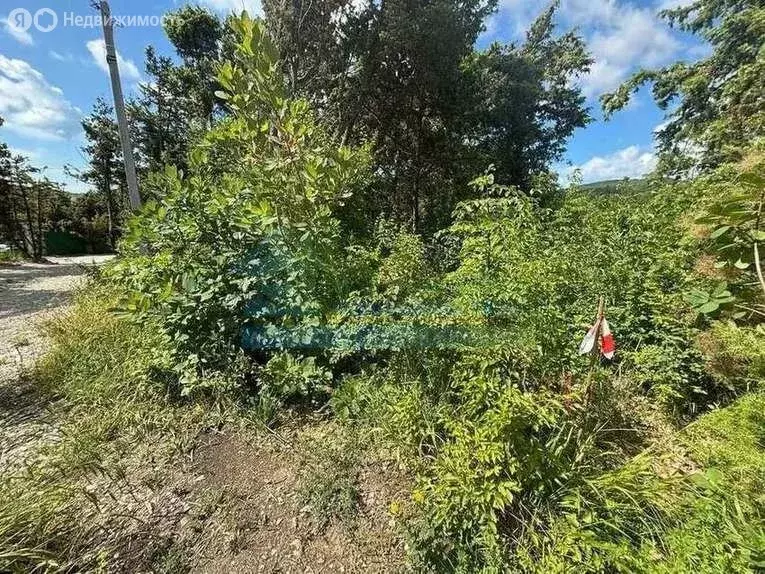 Участок в Краснодарский край, городской округ Новороссийск, село ... - Фото 0