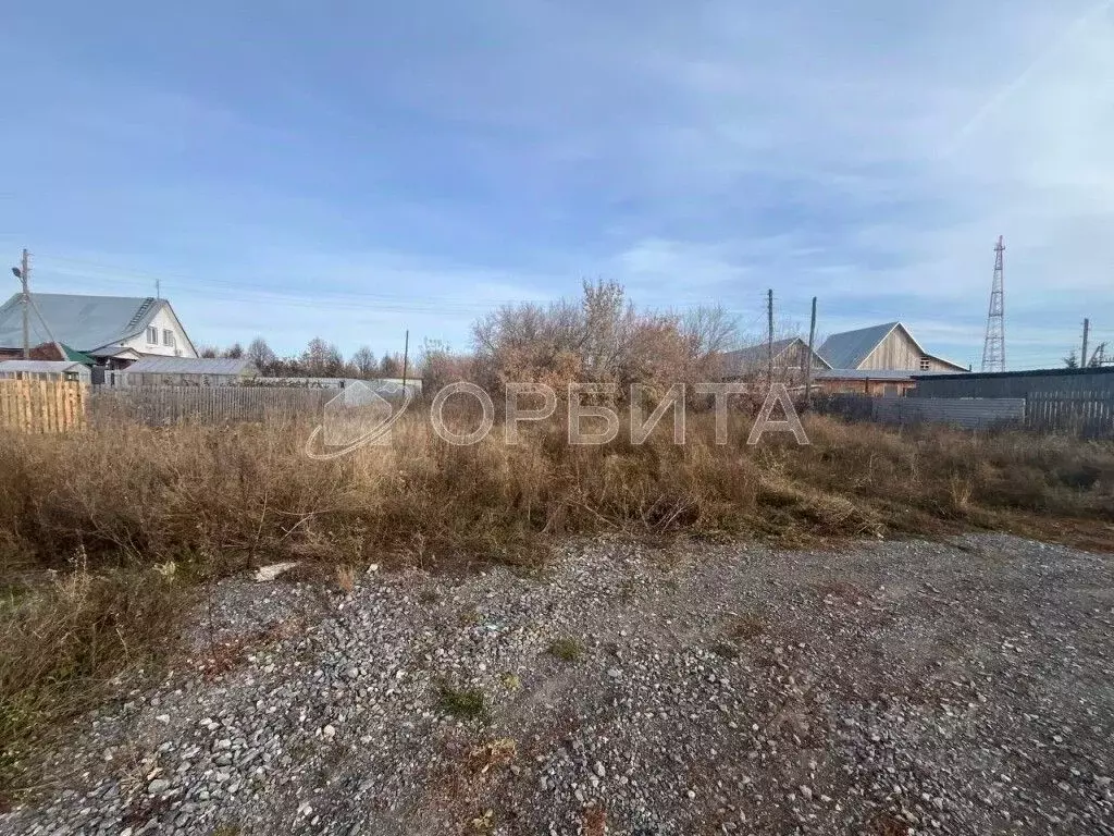 Участок в Тюменская область, Исетский муниципальный округ, с. Шорохово ... - Фото 1