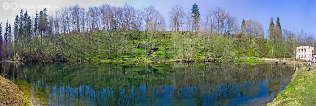 Участок в Лопухинское сельское поселение, деревня Новая Буря, ... - Фото 1